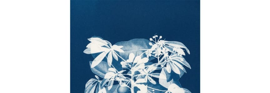 Karen Zalamea: Every Surface is a Shrine