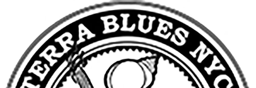 T Blues Band: Mack & Bryan