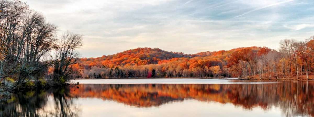 American Bald Eagle Nest Spotting Scope Viewing (7am)