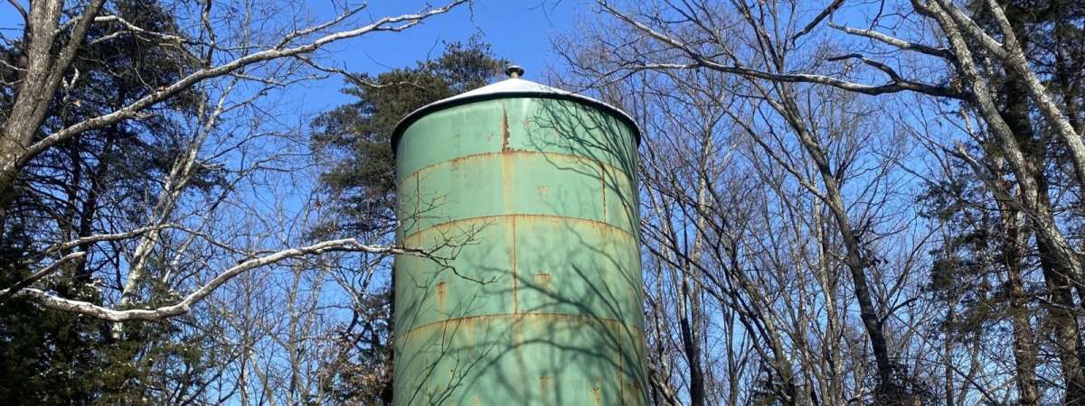 Midweek Nature Stroll