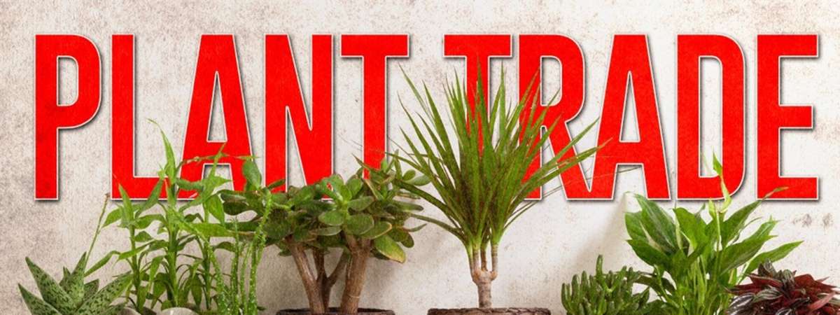 Plant Trade (Fall Trade)