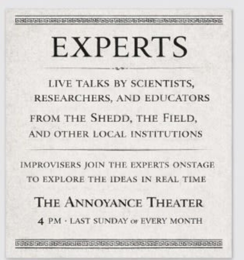Experts