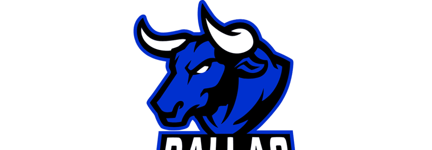 Dallas Bulls vs Louisiana Rouxgaroux