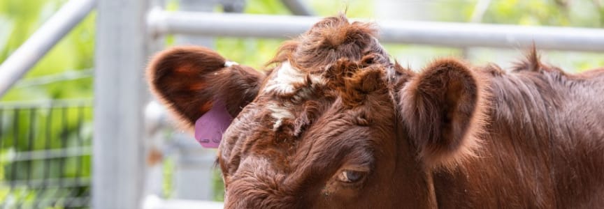 Sensory-Friendly Day at Farm-in-the-Zoo
