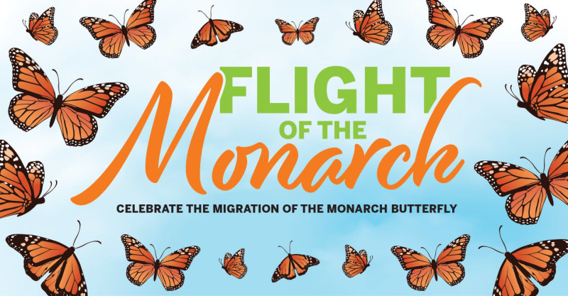 Flight of the Monarch Festival on the GrandLawn - Butterfly releases, live music, food, vendors, activities, & more!