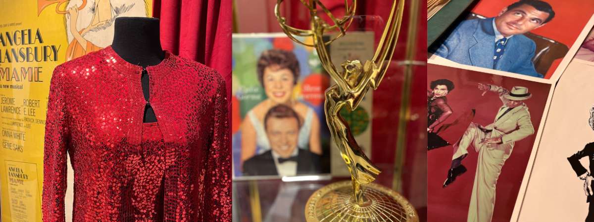 Timeless Treasures Artifact Display