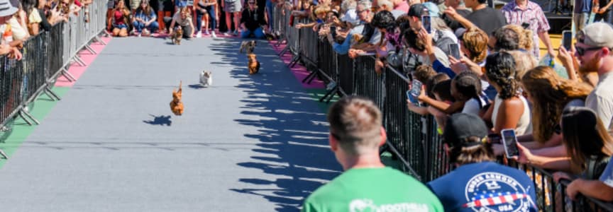 BARKtember Fest