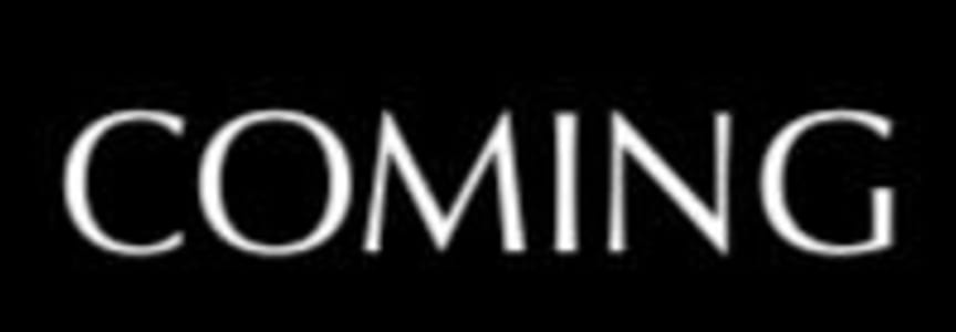 Steffi Nossen Dance Foundation 89th Benefit Concert