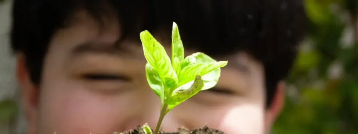 S.E.E.D. Camp: Botanists in Training (Ages 6-7) – Session 1