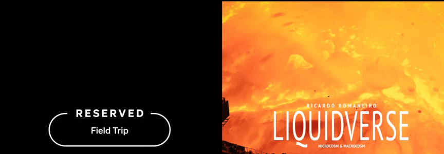 Liquidverse