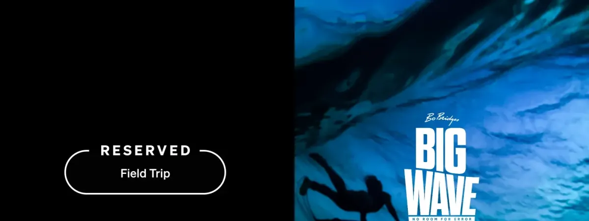 Big Wave: No Room for Error