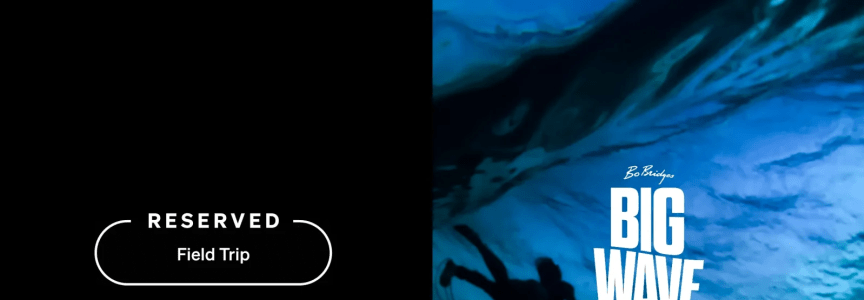 Big Wave: No Room for Error