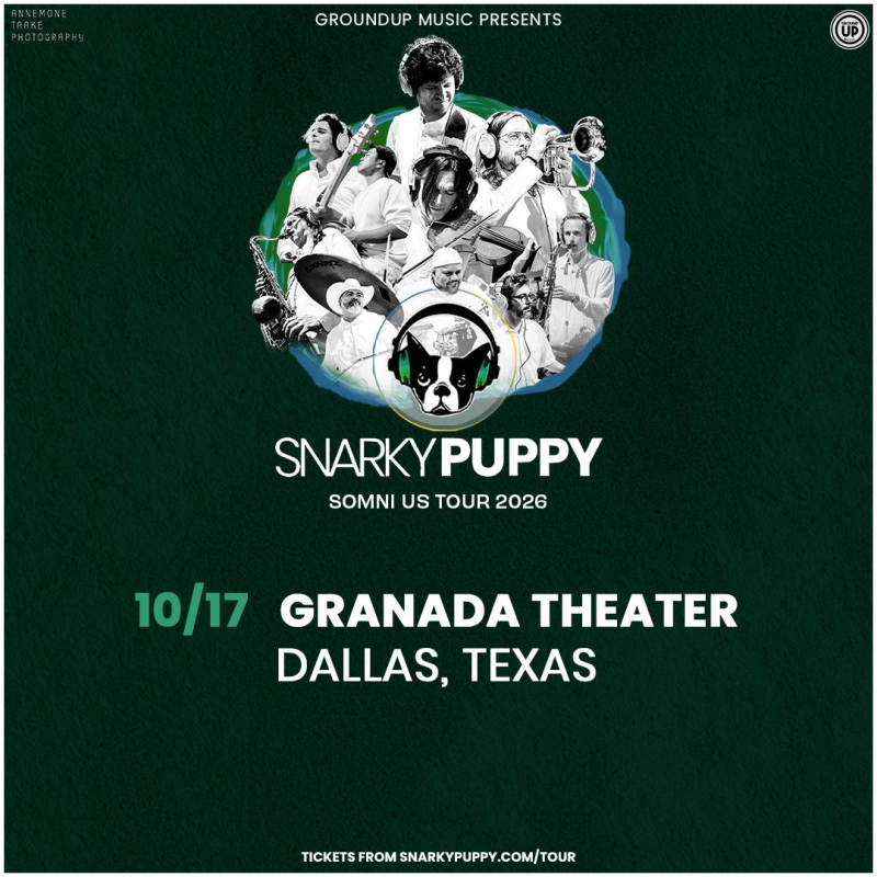 Snarky Puppy
