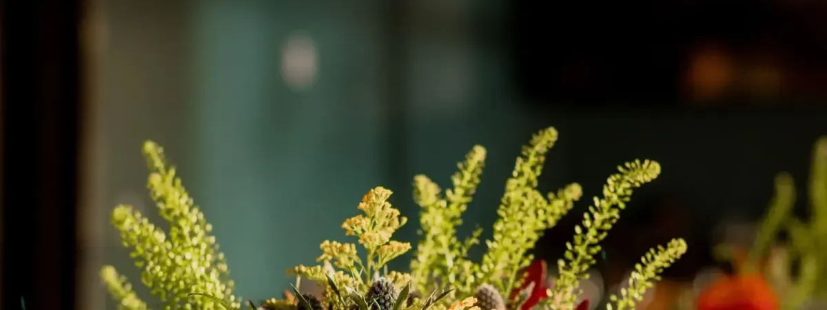 Saffire: Wine Down Wednesday