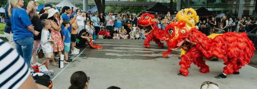 AAPI Heritage Month Festival 2026