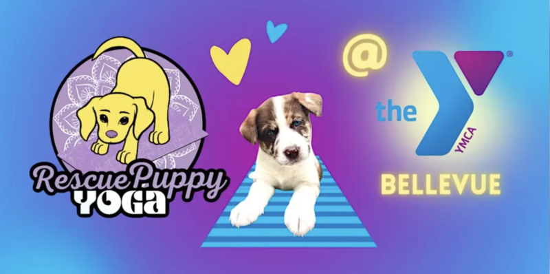 Rescue Puppy Yoga