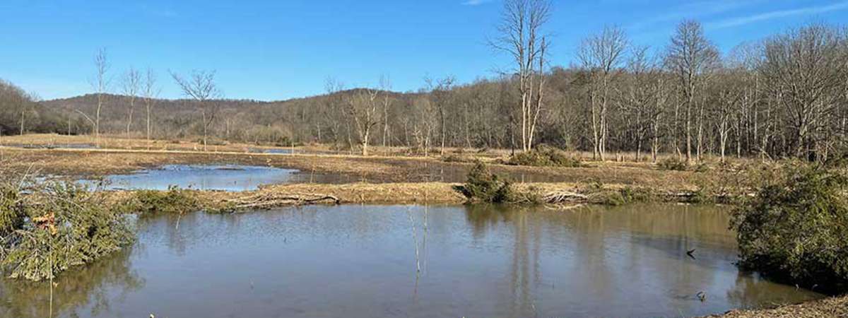 Trail Discovery Hike & Tour: Bean House