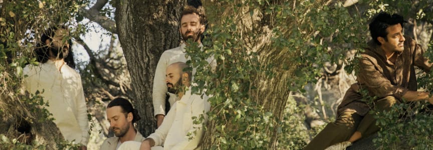 Young the Giant - Victory Garden Tour with Cold War Kids