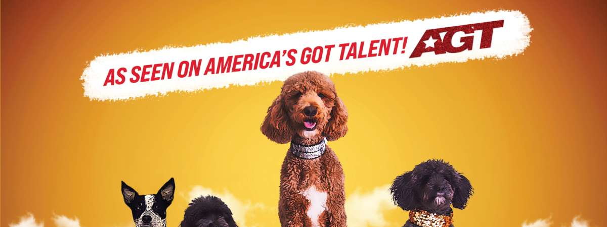 Puppy Pals Live