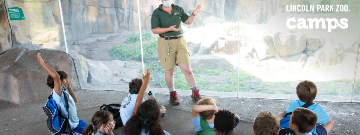 Summer Conservation Camp: Wild Work