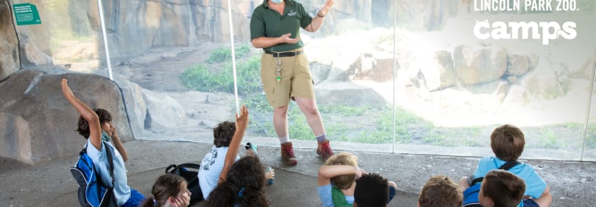 Summer Conservation Camp: Wild Work