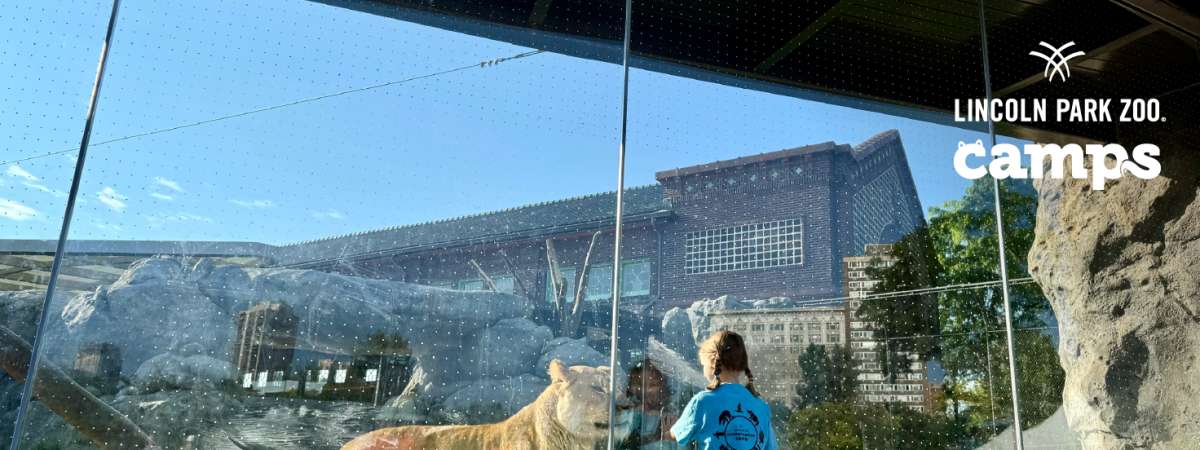 Summer Conservation Camp:  Exploration Safari 
