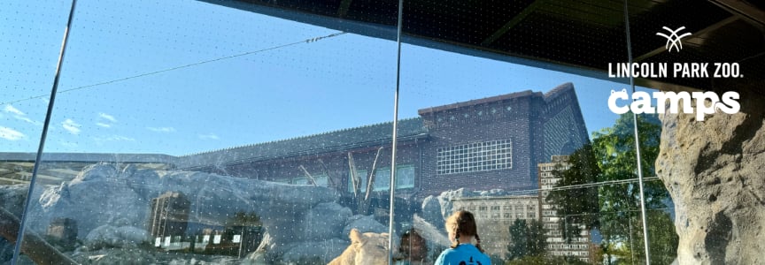 Summer Conservation Camp:  Exploration Safari 