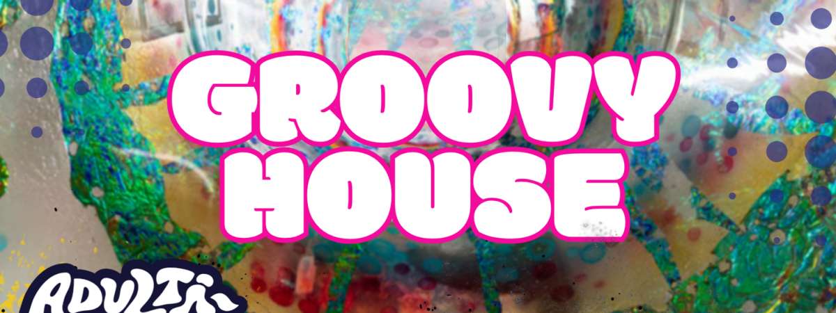 Adulti-Verse: Groovy House