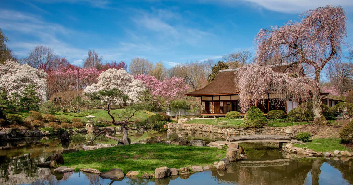 2026 Subaru Cherry Blossom Festival of Greater Philadelphia in