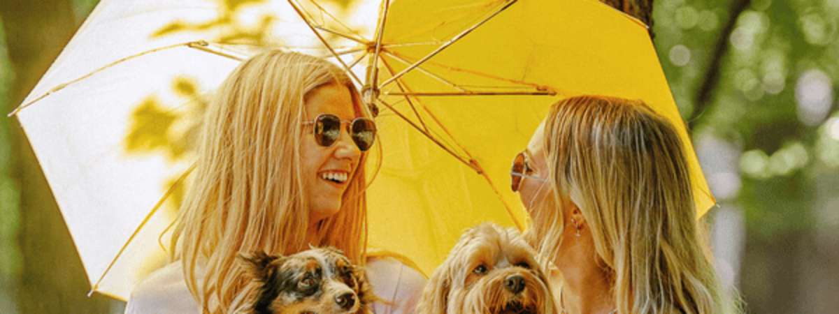 Dog Days: August