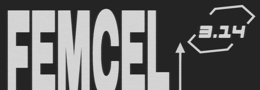 Femcel, DRLN, A Total Wreck & Pizza King Girl Live at Alphaville