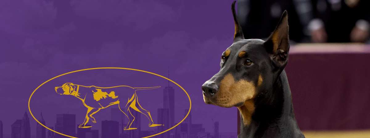 151st Westminster Kennel Club Dog Show - Monday Night Only