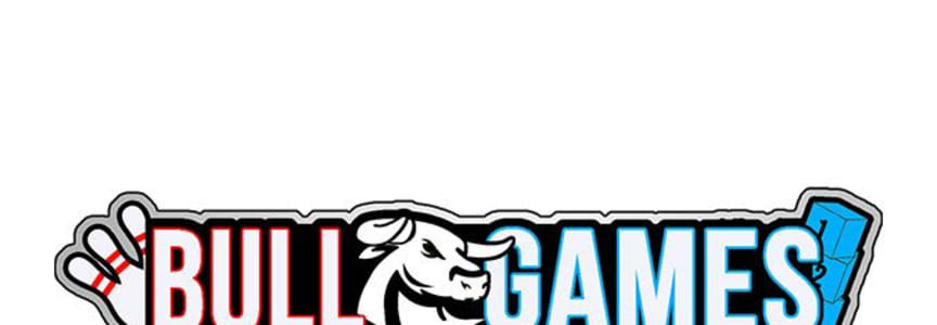 Ultimate Bullfighters: Midnight Bullfight