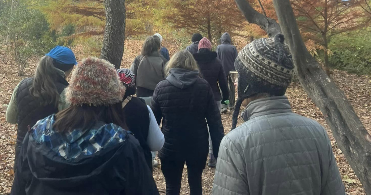 Wellness Walks
