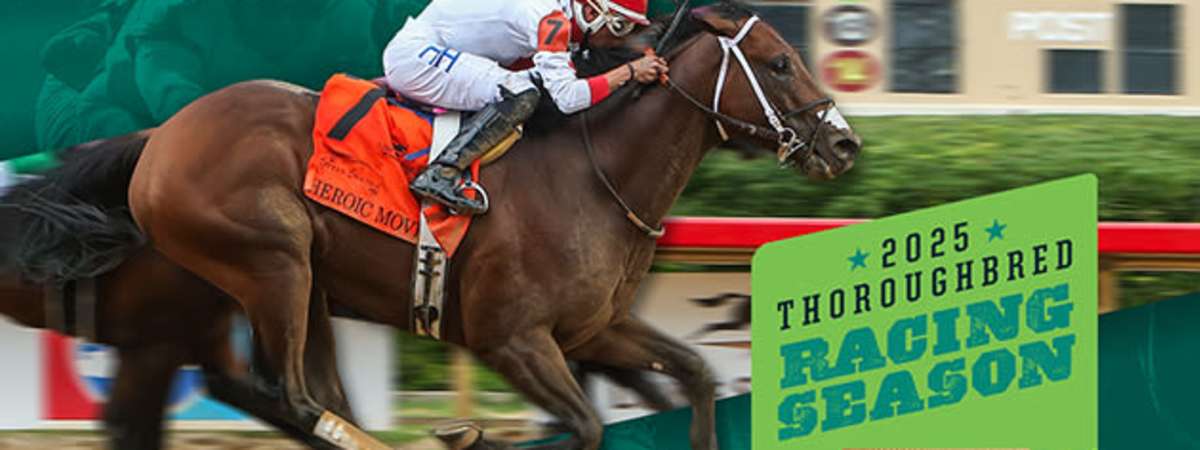 Thoroughbred Racing Season