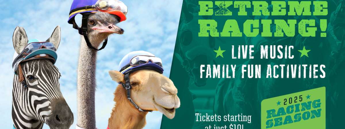 Thoroughbred Racing Season: Extreme Racing Day