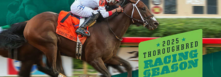 Thoroughbred Racing Season