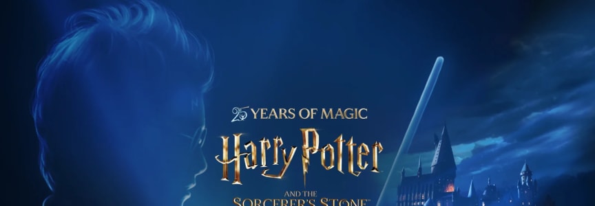 Harry Potter and the Sorcerer's Stone in Shared Reality