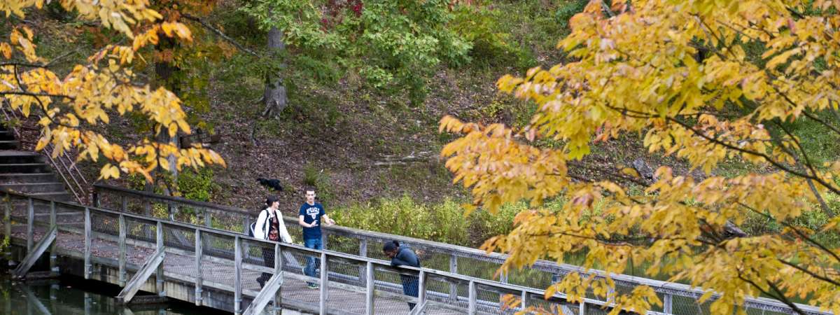 Bell Ringer Trail Run
