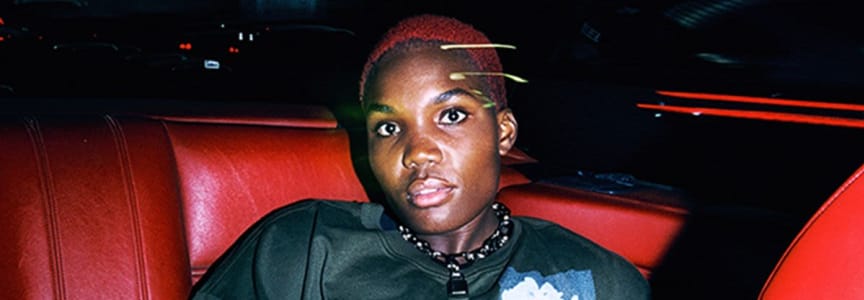 Arlo Parks - Desire Tour