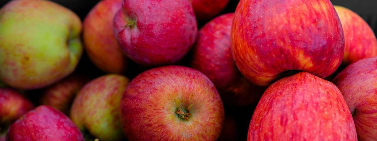CiderFeast Boston