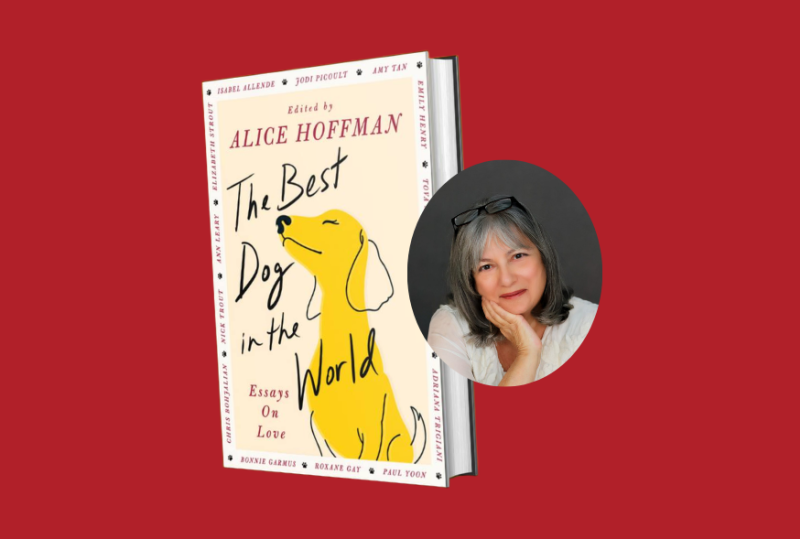 Alice Hoffman Book Bash Featuring The Best Dog in the World: Essays on Love