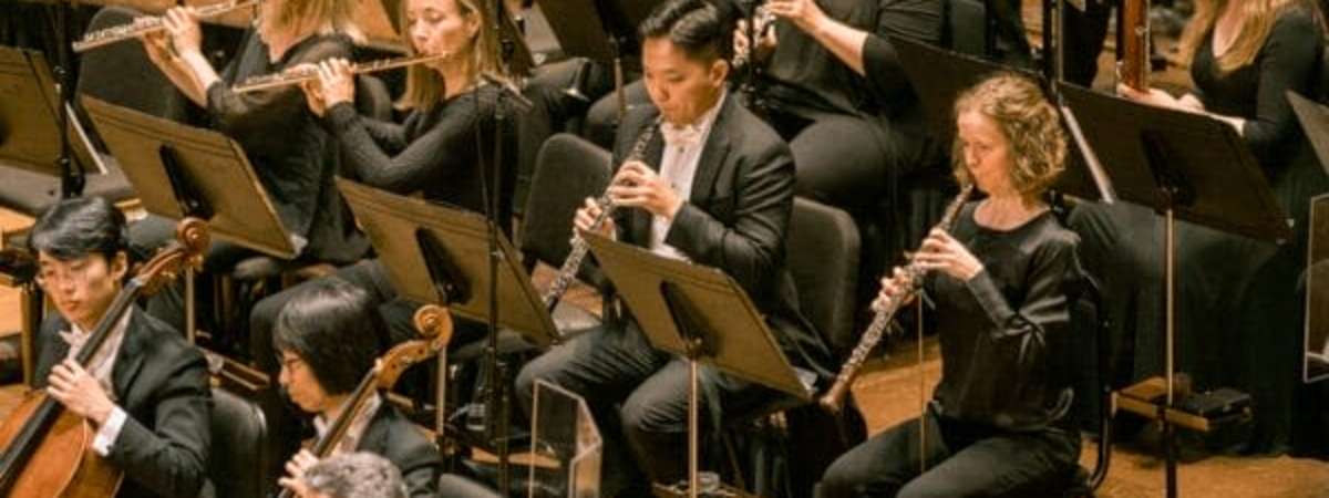 Vienna After Beethoven