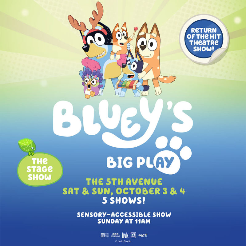 Bluey’s Big Play