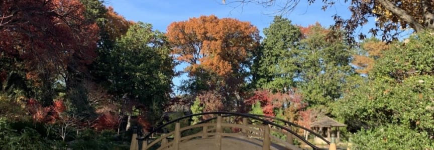 Japanese Garden Tour: May 16