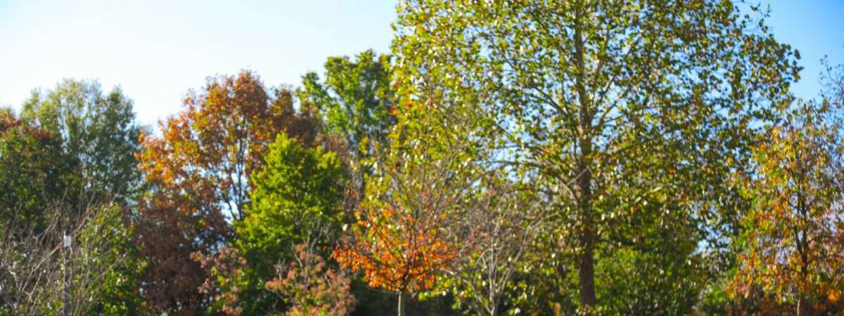 Centennial Stroll & Roll (Guided Nature Walk) (Fall)