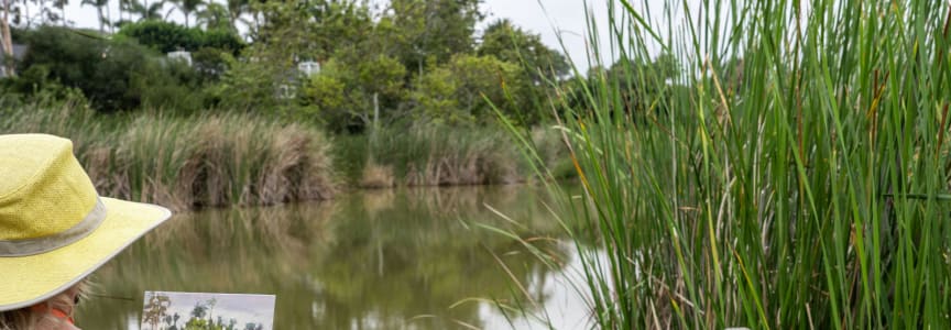 Plein Air Paint Out with OMA Artist Alliance: Buena Vista Lagoon - ARTIST ALLIANCE MEMBER: FREE