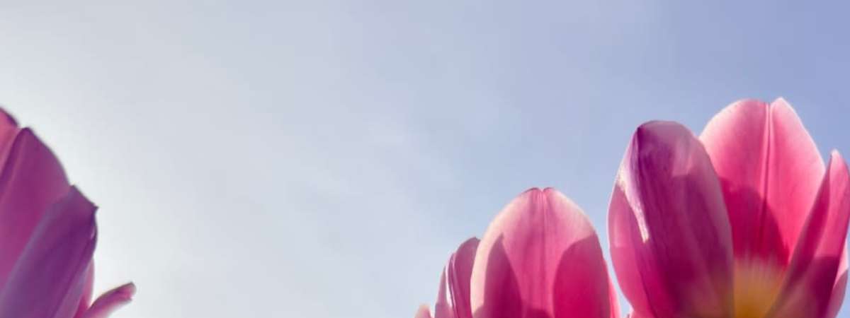 Members-Only: Free Mother’s Day Photos
