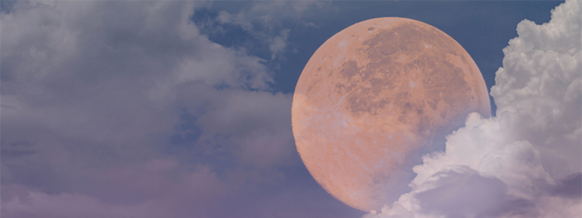 Moon Magic: Workshop & Sound Bath