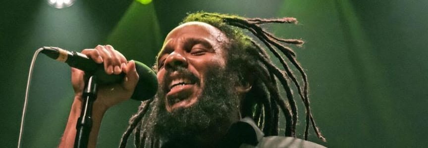 Ziggy Marley and Thievery Corporation